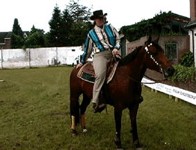 potje voetbal met paarden...